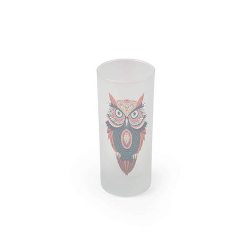 JP Plus Plastic 10oz Frosted Glass