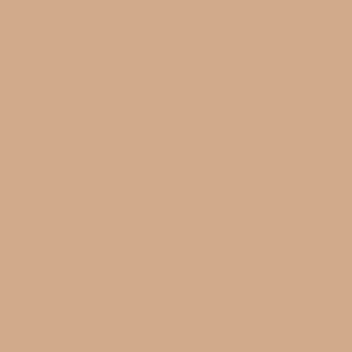 Siser Heat Transfer Vinyl Cashew / 12"x12" Siser EasyWeed® Heat Transfer Vinyl - 12"x12" Sheets